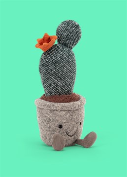 <ul><li>Bet you never thought you could cuddle a cactus, eh? Well now you can! </li><li>The Silly Succulent Prickly Pear Cactus by Jellycat is the perfect potted plant pal to decorate your home with none of the maintenance &ndash; a great gift for your less than green-fingered friends! </li><li>This tweedy green cactus comes complete with a suedey orange flower and felt grey pot with fluffy soil peeking out. </li><li>Dimensions: 24cm high, 8cm wide </li></ul>
